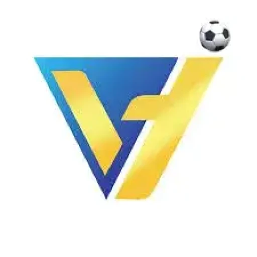 valohoki