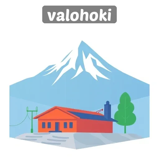 Ulasan Sistem Pembayaran dan Penarikan di Valohoki
